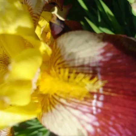 Hotel-logis La Coraline