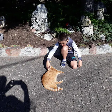 Hotel-logis La Coraline