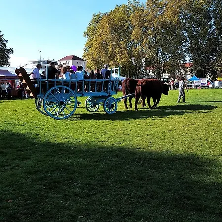 Hotel-logis La Coraline Gannat