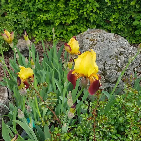 Hotel-logis La Coraline 3* Gannat