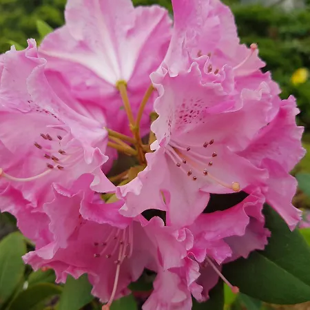 Hotel-logis La Coraline 3* Gannat