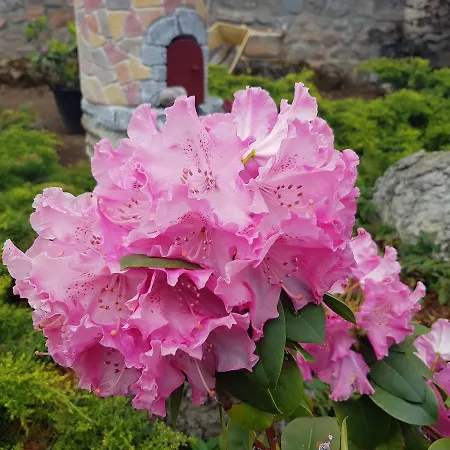 Hotel-logis La Coraline