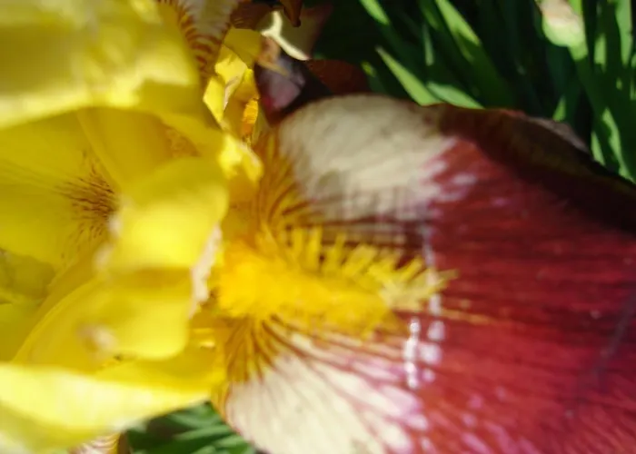 Hotel-logis La Coraline